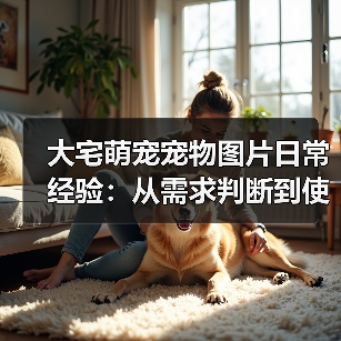 大宅萌宠宠物图片日常经验：从需求判断到使用维护全攻略（图1）