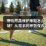 宠物用品维护难题怎么破？从需求判断到保养的全攻略（图3）