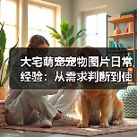 大宅萌宠宠物图片日常经验：从需求判断到使用维护全攻略（图4）