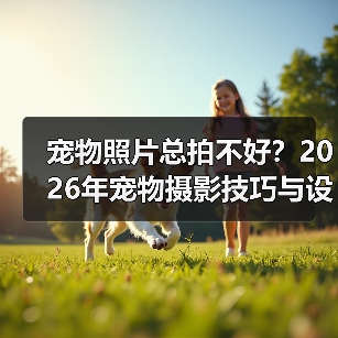 宠物照片总拍不好？2026年宠物摄影技巧与设备选择指南（图3）