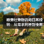 唯宠社宠物咨询日常经验:从需求判断到使用维护全攻略(图2) 唯宠社宠物咨询日常经验:从需求判断到使用维护全攻略(图2)