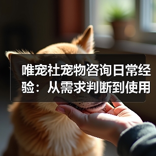 唯宠社宠物咨询日常经验：从需求判断到使用维护全攻略