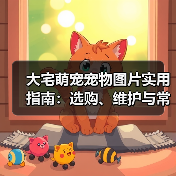 大宅萌宠宠物图片实用指南:选购、维护与常见问题解析(图2) 大宅萌宠宠物图片实用指南:选购、维护与常见问题解析(图2)