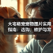 大宅萌宠宠物图片实用指南：选购、维护与常见问题解析