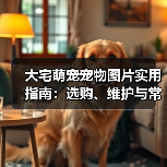 大宅萌宠宠物图片实用指南:选购、维护与常见问题解析(图4) 大宅萌宠宠物图片实用指南:选购、维护与常见问题解析(图4)