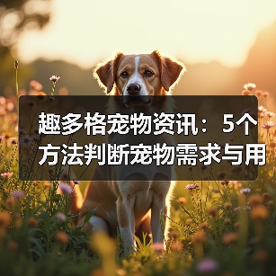 趣多格宠物资讯:5个方法判断宠物需求与用品维护技巧(图4) 趣多格宠物资讯:5个方法判断宠物需求与用品维护技巧(图4)
