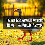昕宠鸣宠宠物图片实用指南:选购维护与常见问题解析(图1) 昕宠鸣宠宠物图片实用指南:选购维护与常见问题解析(图1)