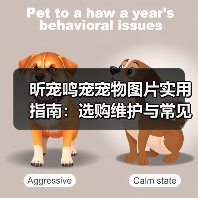 昕宠鸣宠宠物图片实用指南:选购维护与常见问题解析(图4) 昕宠鸣宠宠物图片实用指南:选购维护与常见问题解析(图4)