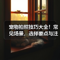 宠物拍照技巧大全!常见场景、选择要点与注意事项(图4) 宠物拍照技巧大全!常见场景、选择要点与注意事项(图4)