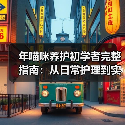 年喵咪养护初学者完整指南：从日常护理到实战技巧全解析