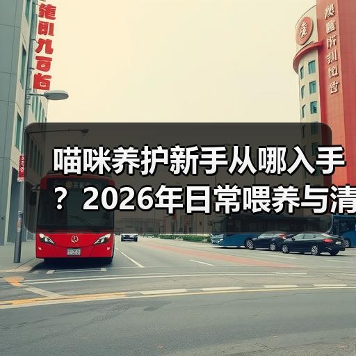 喵咪养护新手从哪入手？2026年日常喂养与清洁全流程