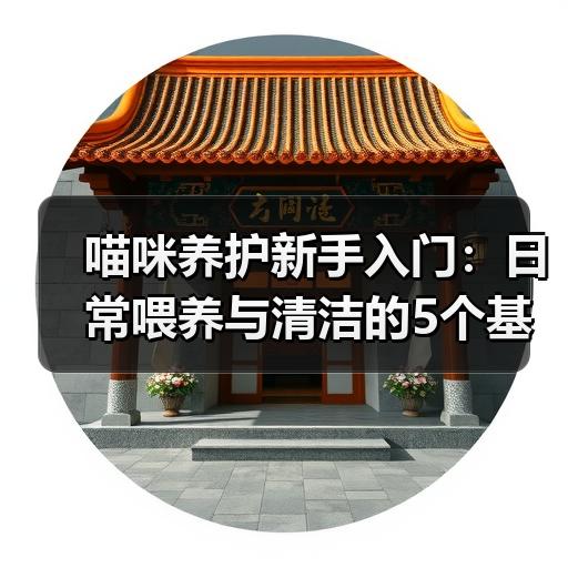 喵咪养护新手入门：日常喂养与清洁的5个基本步骤