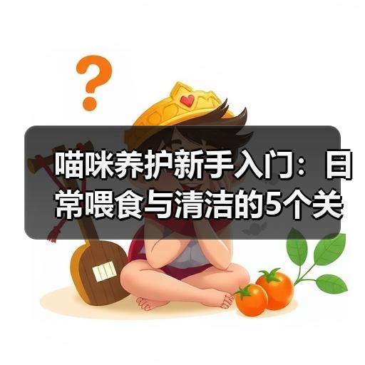 喵咪养护新手入门：日常喂食与清洁的5个关键细节