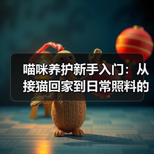 喵咪养护新手入门：从接猫回家到日常照料的完整流程